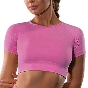 Seamless Yoga Sport Fitness Women Leggings and Short Sleeve Tops - Plush Fashions Shop 