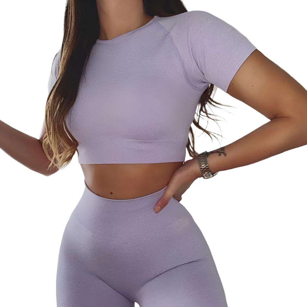 Seamless Yoga Sport Fitness Women Leggings and Short Sleeve Tops - Plush Fashions Shop 