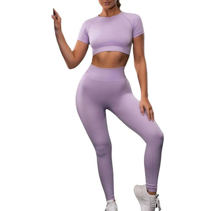 Seamless Yoga Sport Fitness Women Leggings and Short Sleeve Tops - Plush Fashions Shop 