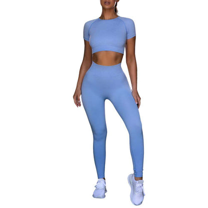 Seamless Yoga Sport Fitness Women Leggings and Short Sleeve Tops - Plush Fashions Shop 